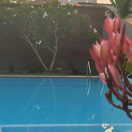 Ocean View Tourist Guest House At Negombo Beach Near The Airport-2