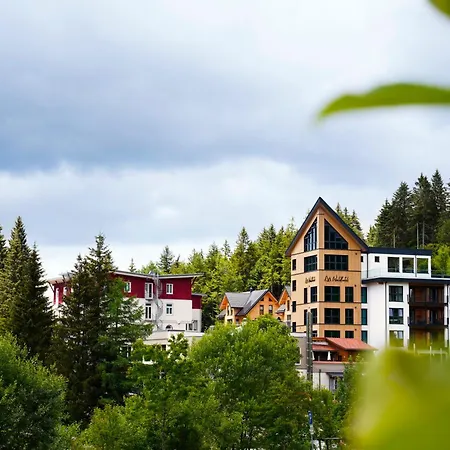 Das Waldhotel - Genuss & Wellness Am Notschreipass-2