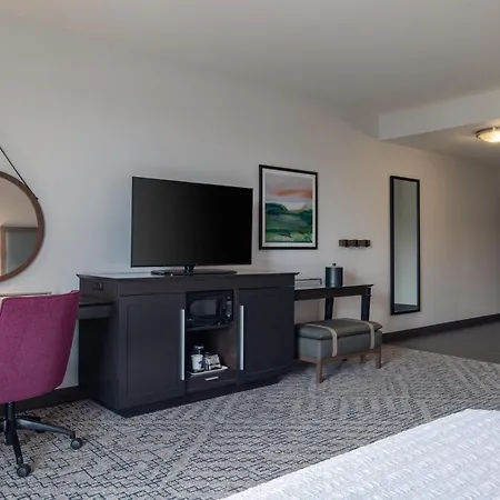 Hampton Inn & Suites - Roanoke-Downtown, Va-2