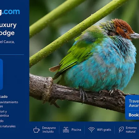 Natural Luxury Birding Lodge - Premium Birdwatching Near Cali-2