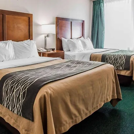 Quality Inn Waynesburg - Morrisville-3