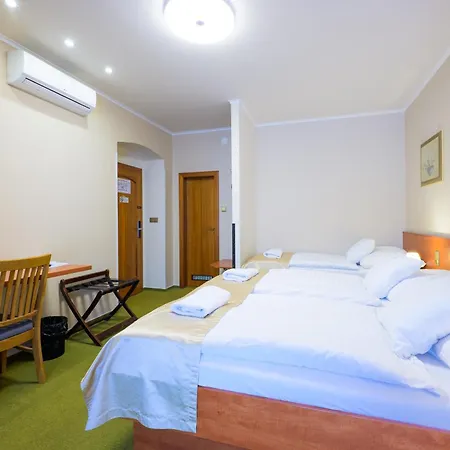 Hotel Roudna-3