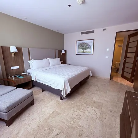 Holiday Inn - Villahermosa Aeropuerto, an IHG Hotel-2