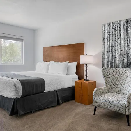 Stoke Hotel Surestay Collection By Best Western-2