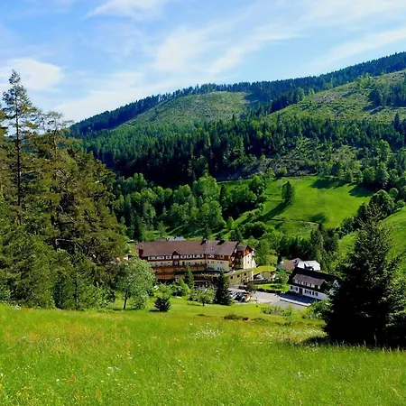 Tanne Tonbach - Wellness & Wohlfuehl Hotel-2