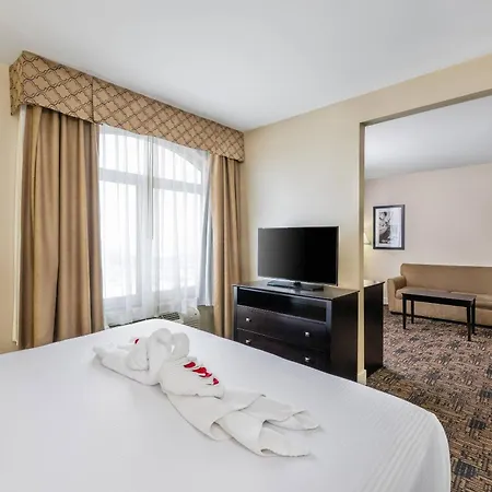 Radisson Hotel Edmonton Airport-3