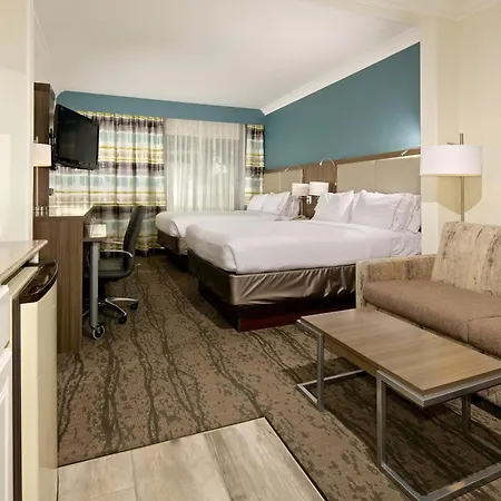 Holiday Inn Express Hotel & Suites - Paso Robles By Ihg-3