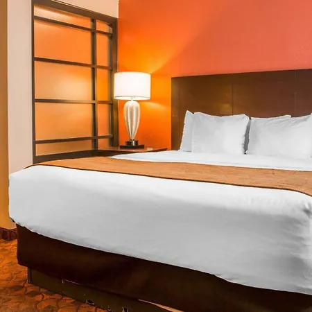 Comfort Inn & Suites And Conference Center-3