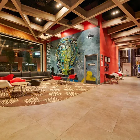 Ibis Torreon-3