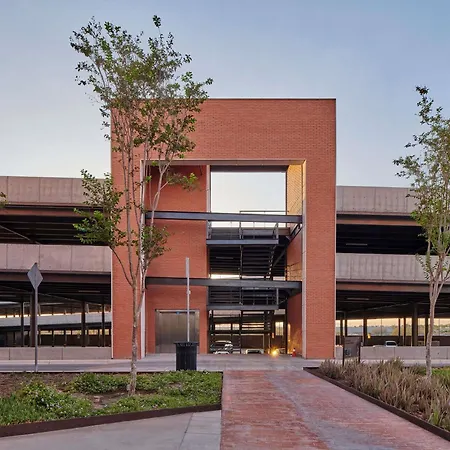 Ibis Torreon-2