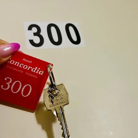 Hotel Concordia-2