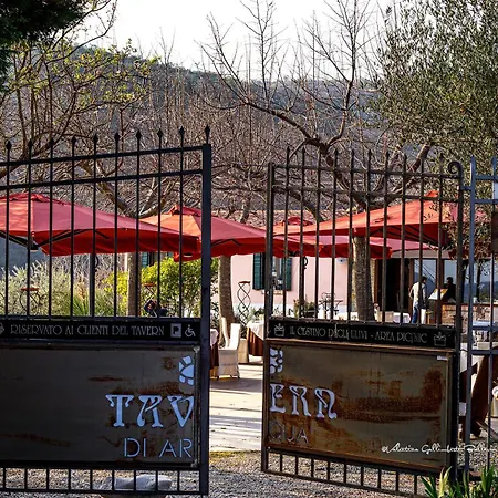 Tavern di Arqua'-3