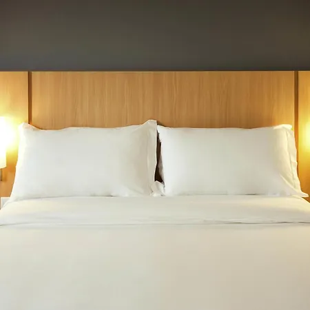 Ibis Cascavel-2