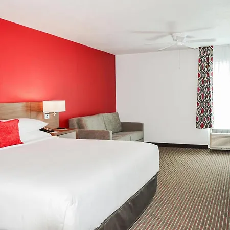 Radisson Hotel Orlando Lake Buena Vista South-2