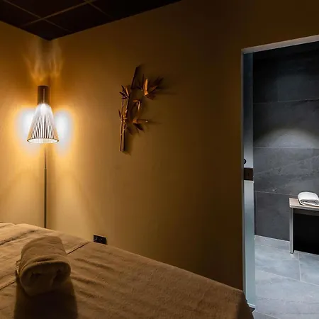 Novotel Suites Colmar Centre-3