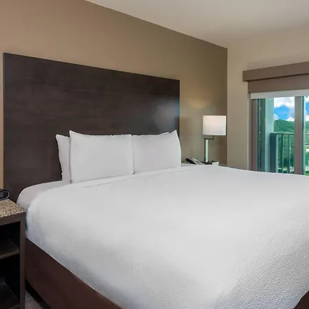 Coral Pointe Sarasota, An Ascend Collection Hotel-3