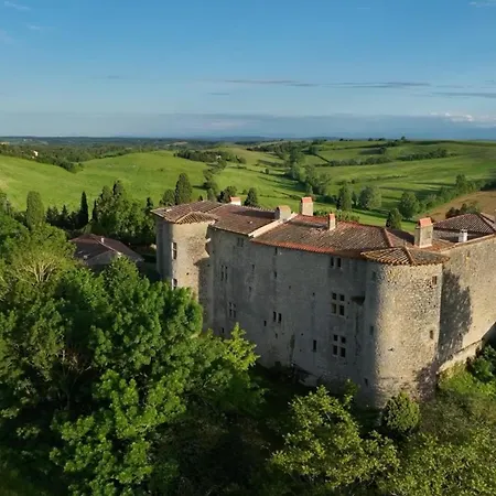 Château de Mézerville-2