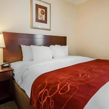 Quality Suites Jeffersonville - Louisville North-2