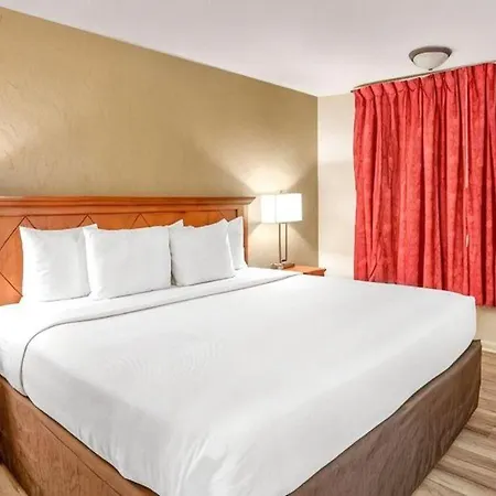Econo Lodge Inn & Suites Durango-2
