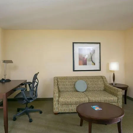 Hilton Garden Inn Lakeland-3