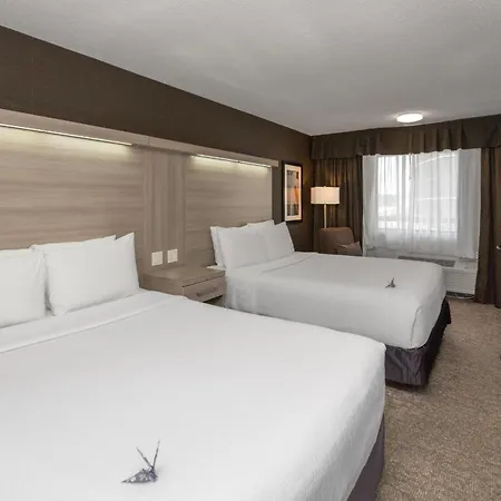 Coast Calgary University Area Hotel By Apa-3