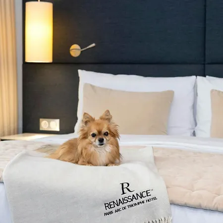 Renaissance Paris Arc De Triomphe Hotel-3