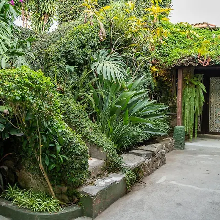 Hotel Casa Antigua By Ahs-2