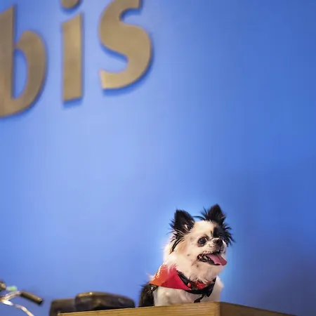 Ibis Chennai Omr - An Accor Brand-3