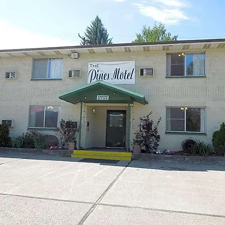 The Pines Motel-3