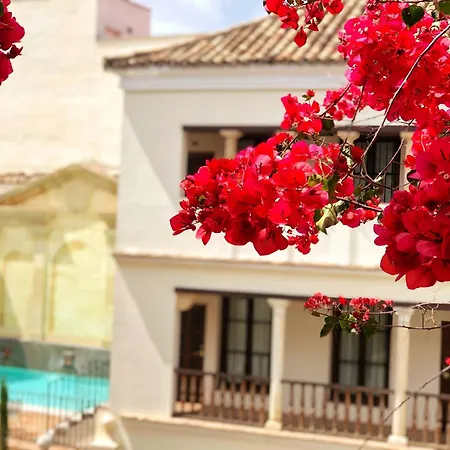 Las Casas De La Juderia De Cordoba-2