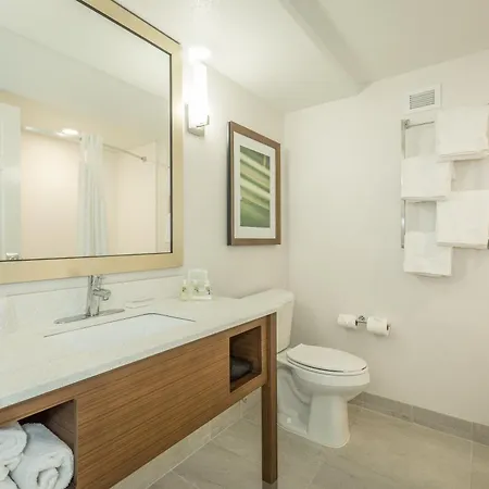 Holiday Inn Hotel And Suites Peachtree City By Ihg-3