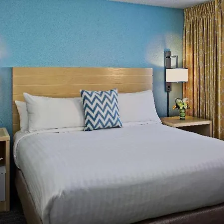 Sonesta Es Suites Ann Arbor-3