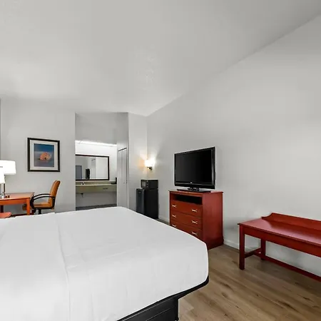 Quality Inn Weeki Wachee - Spring Hill-2