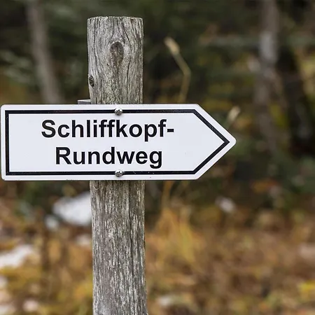 Wellness-& Nationalpark Hotel Schliffkopf, Bwsc-2