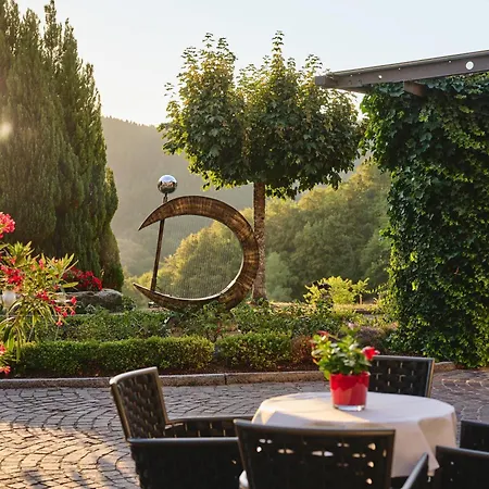 Hotel Dollenberg-3