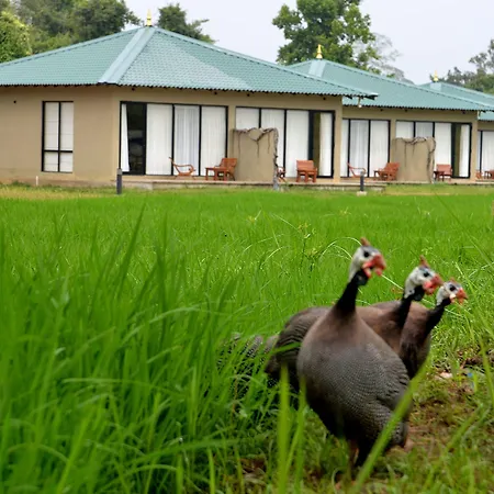 Sigiriya King'S Resort-2