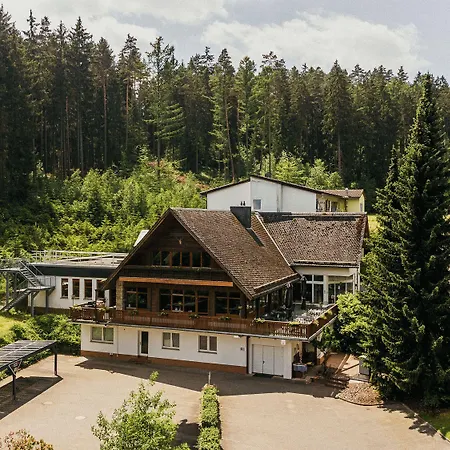 Waldhotel Ehrental-3