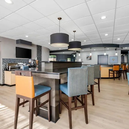 Comfort Suites New Bern Near Cherry Point-3