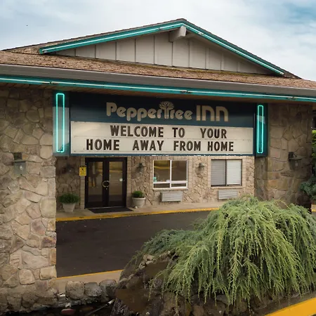 Pepper Tree Inn-3