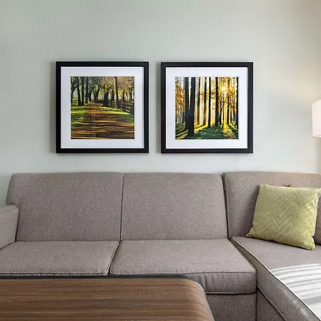 Homewood Suites By Hilton Tallahassee-2