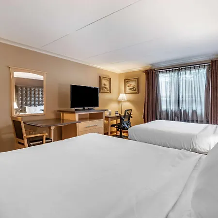 Best Western Marquis Inn & Suites-3