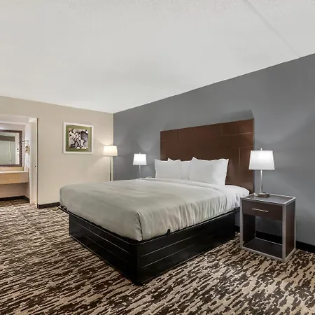 Quality Inn & Suites Easley - Greenville-3