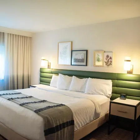 The Ingleside Hotel-3