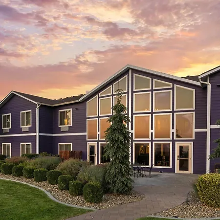 Best Western Plus Grapevine Inn-3