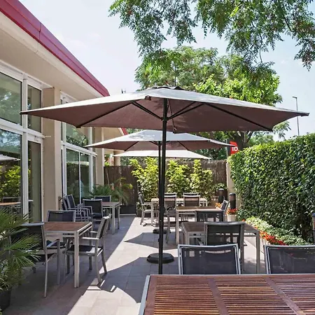 Ibis Cornella-2