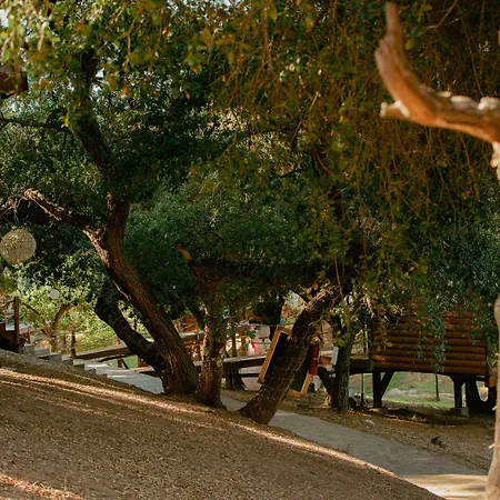 Boskenvid Hotel - Romantic Treehouses & Skypool-2