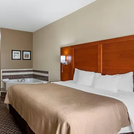 Comfort Inn & Suites Carbondale University Area-3