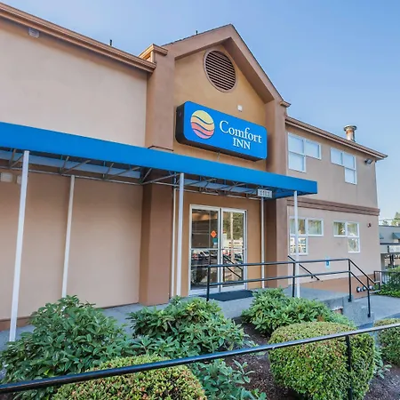 Comfort Inn On The Bay-2