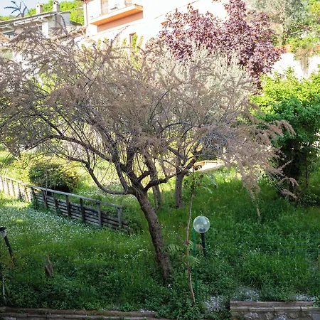 Hotel Belvedere-2