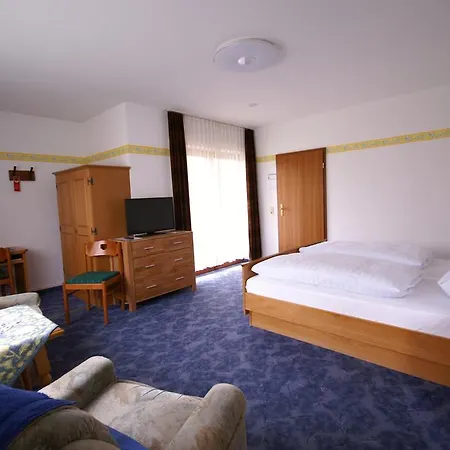 Hotel Weidenau-2